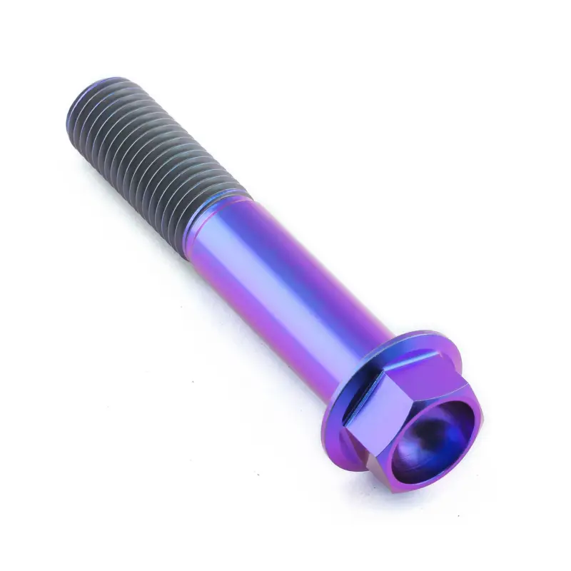 Poslední Šance Pro-Bolt titanový šroub s šestihrannou hlavou se závitem M10 x 1,25 mm a délkou 55 mm, barva opálená fialová