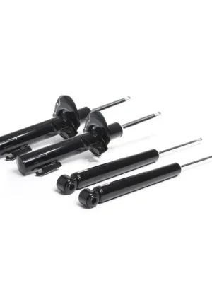 Pouze Dnes RacingLine Sport Damper Kit MQB Multi Link rear 55mm strut not 8V S3